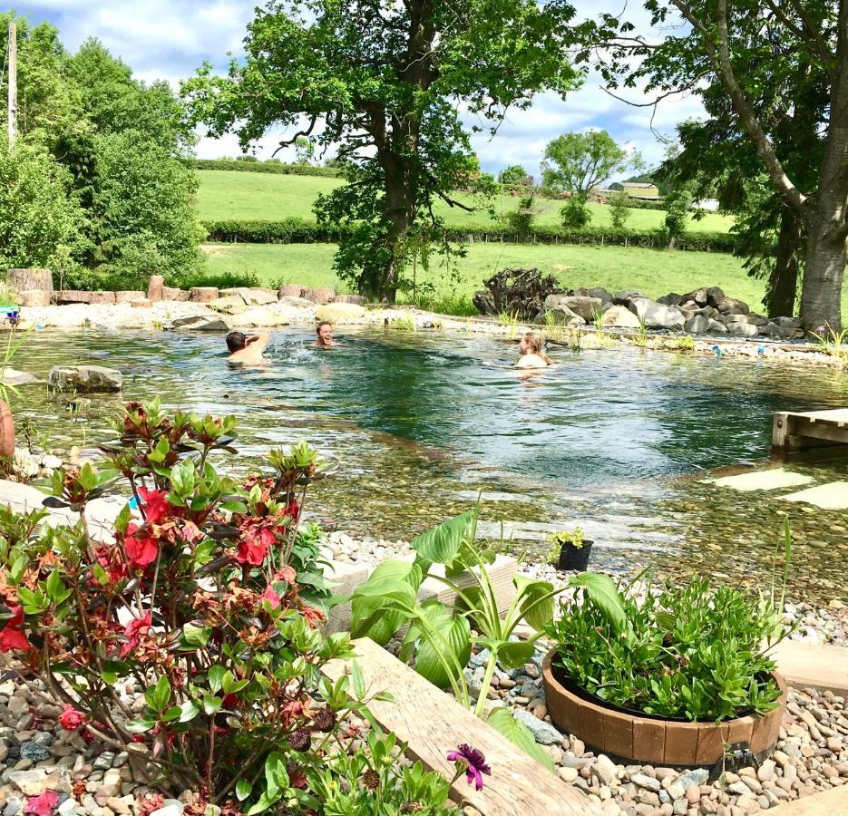 Mid-Wales Farmhouse, Swimming Pool, Tranquil Countryside Views, Sleeps 14 Meifod Exterior foto